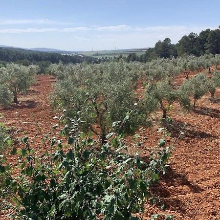 El-Cortijo Villa Siete Aguas Eksteriør bilde