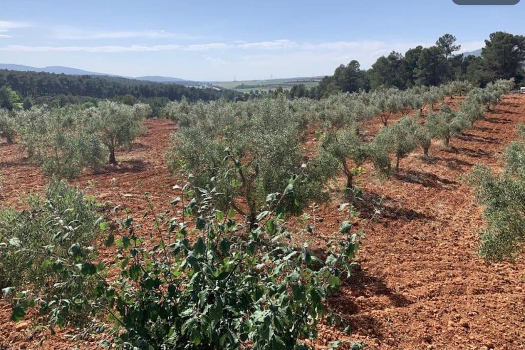 El-Cortijo Villa Siete Aguas Eksteriør bilde